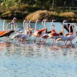 Bed & Breakfast Levante 